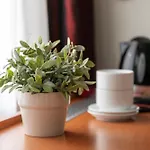 Art 3* ヴィリニュス